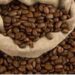 Southern Cup Coffee Arabica Coffee
